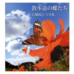広畑政巳「散歩道の蝶たち」